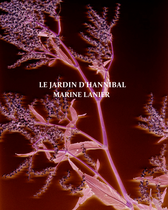 herbier (texte) Pentes