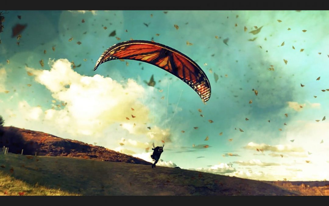 Extraordinaires migrations animales