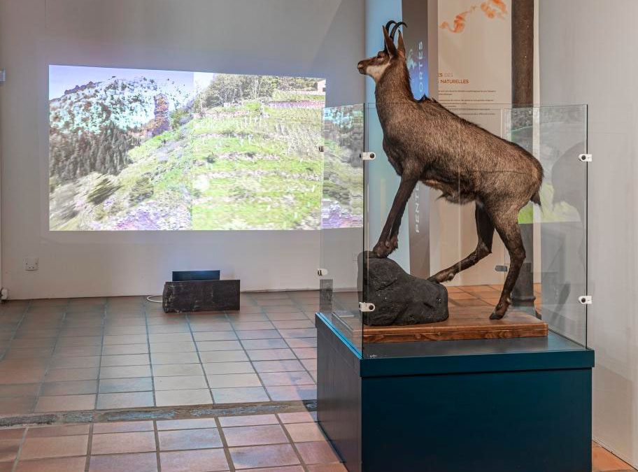 « Je penche sur la pente » : visite contée des collections beaux-arts par Isabelle Delavet