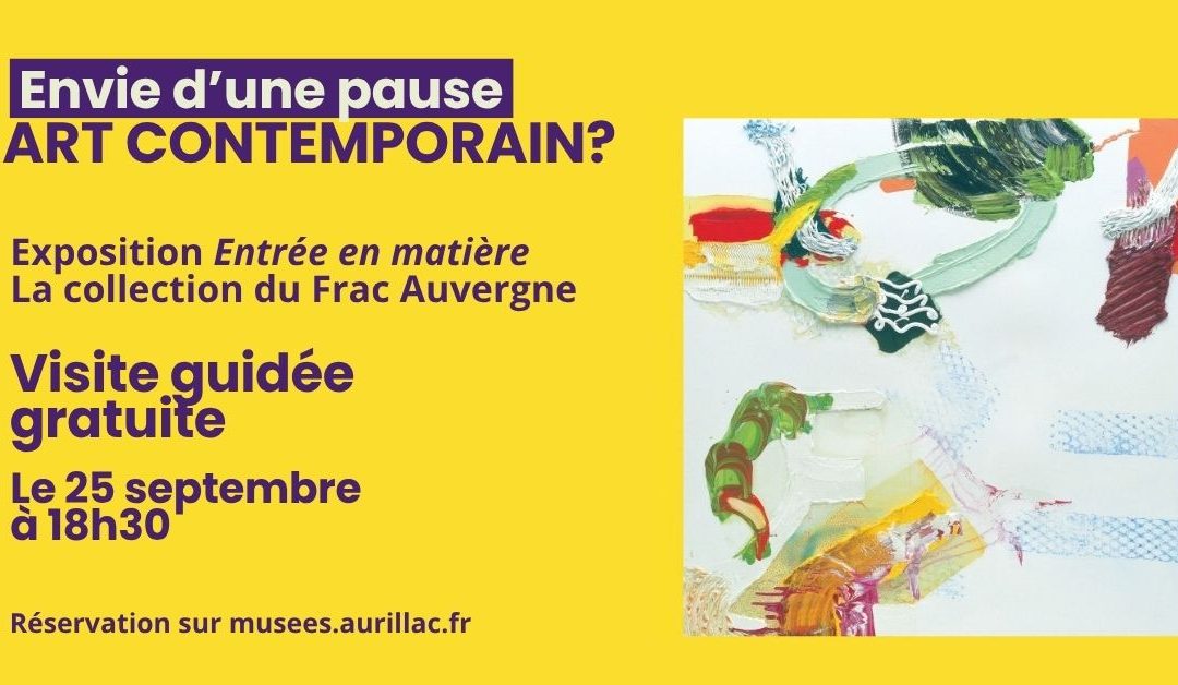 Visite guidée de l’expo Entrée en matière, collections du FRAC Auvergne